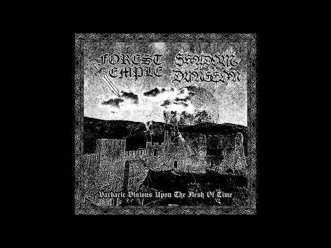 Shadow Dungeon - Pathways To Vivid Darkness