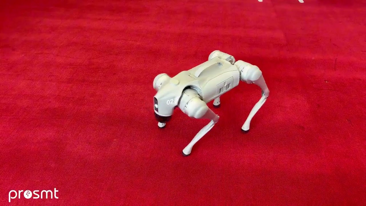 Unitree Go2 Robot Köpek Fonksiyonları