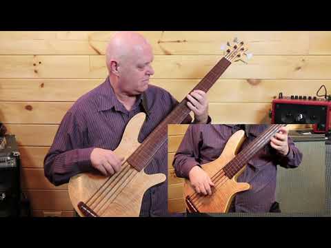 The Fretless Project -  "Gentle Rain" featuring Rob Allen MB2 5-string