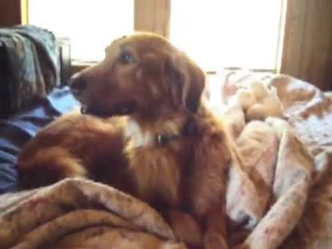 Stay With Me - Smurphy's Last Video