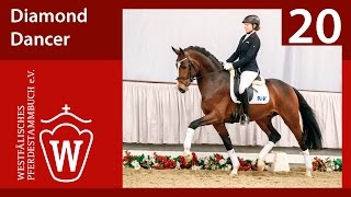 Video von Diamond Dancer