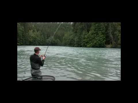 MONSTER King salmon - BIG Chinook 60 + lb (28 kg) Kalum River (Skeena River) - British Colombia