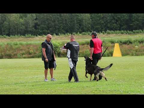 Trond Otter Johansen C