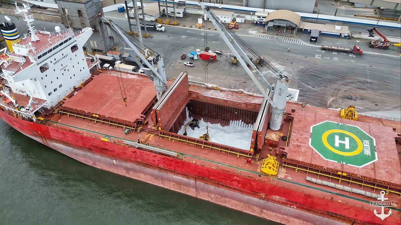 Veja a movimentação de carga nos NAVIOS GRANELEIROS - Porto de São Francisco do Sul