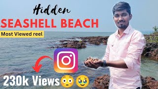 First time hitted 230k Views😳🥳| Seashell Beach | Hidden | Vlog20 | #hidden #seashell #adventureguru
