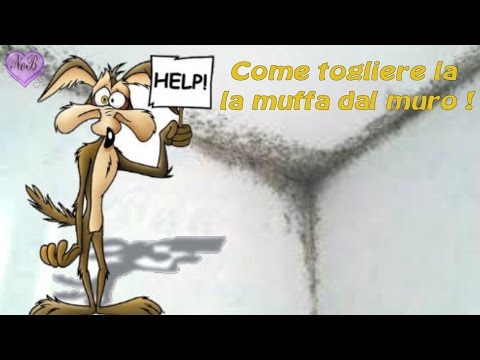 Il chistotet toglie posti di pigmentary Lolio di rosmarino per candeggiare della persona