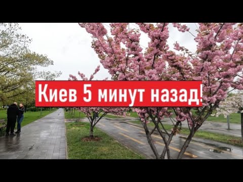 Сегодня 17 апреля 2024! Что происходит в Киеве?