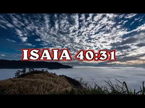 ISAIA 40 : 31 Luciano Gruppo Shekinah