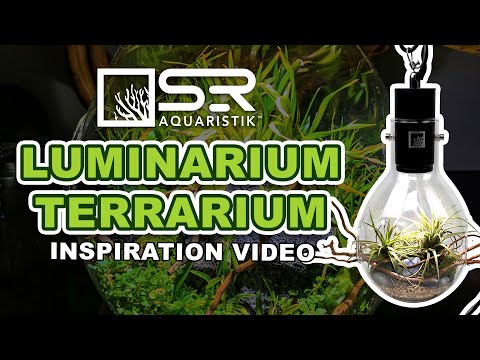SR Aquaristik Luminarium Terrarium Inspiration Video