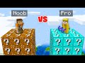 Minecraft NOOB vs PRO: Lucky Block Tower Race!