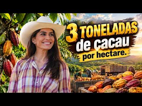 A JORNALISTA QUE INVESTIU MILHÕES EM UMA FAZENDA DE CACAU - 3 TONELADAS POR HECTARE