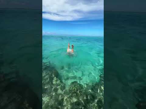 Thumbnail for Book Towards Adventure | Royal Caribbean