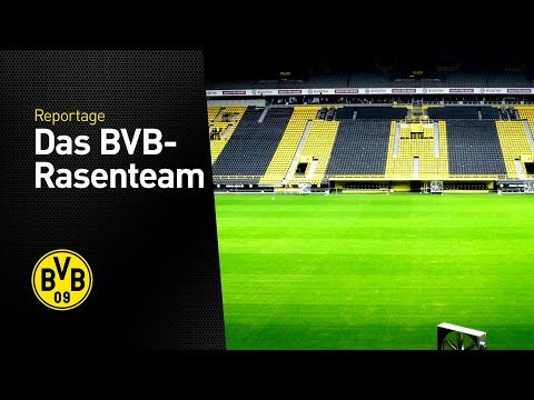 Wie entsteht der beste Rasen Deutschlands? | Pitch of the Year | Signal Iduna Park