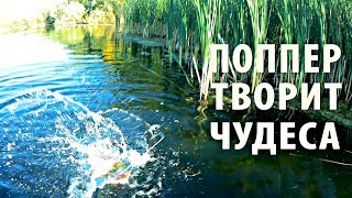 Кузьмин ловля щуки осенью с берега