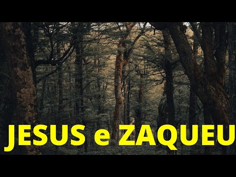 Oração da Manhã - JESUS e Zaqueu