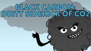 Black Carbon: Dirty Sidekick of CO₂ | Our Climate Our Future SHORTS