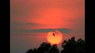 Laid Back - Never Too Late To Learn To Fly