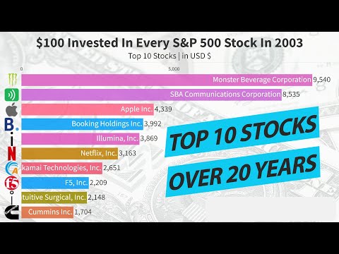 Top 10 Stocks Over 20 Years  |  $100 Invested In Every Stock