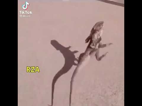 هههههههههههههههه😂😂😂