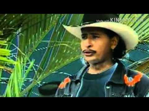 MIX ÁGUILAS DEL NORTE (NORTEÑA)