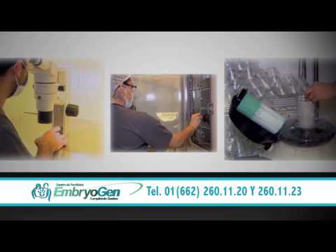 SPOT EMBRY Hermosillo