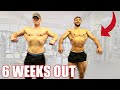 GETTING COMPETITION SHREDDED IN 6 WEEKS!?