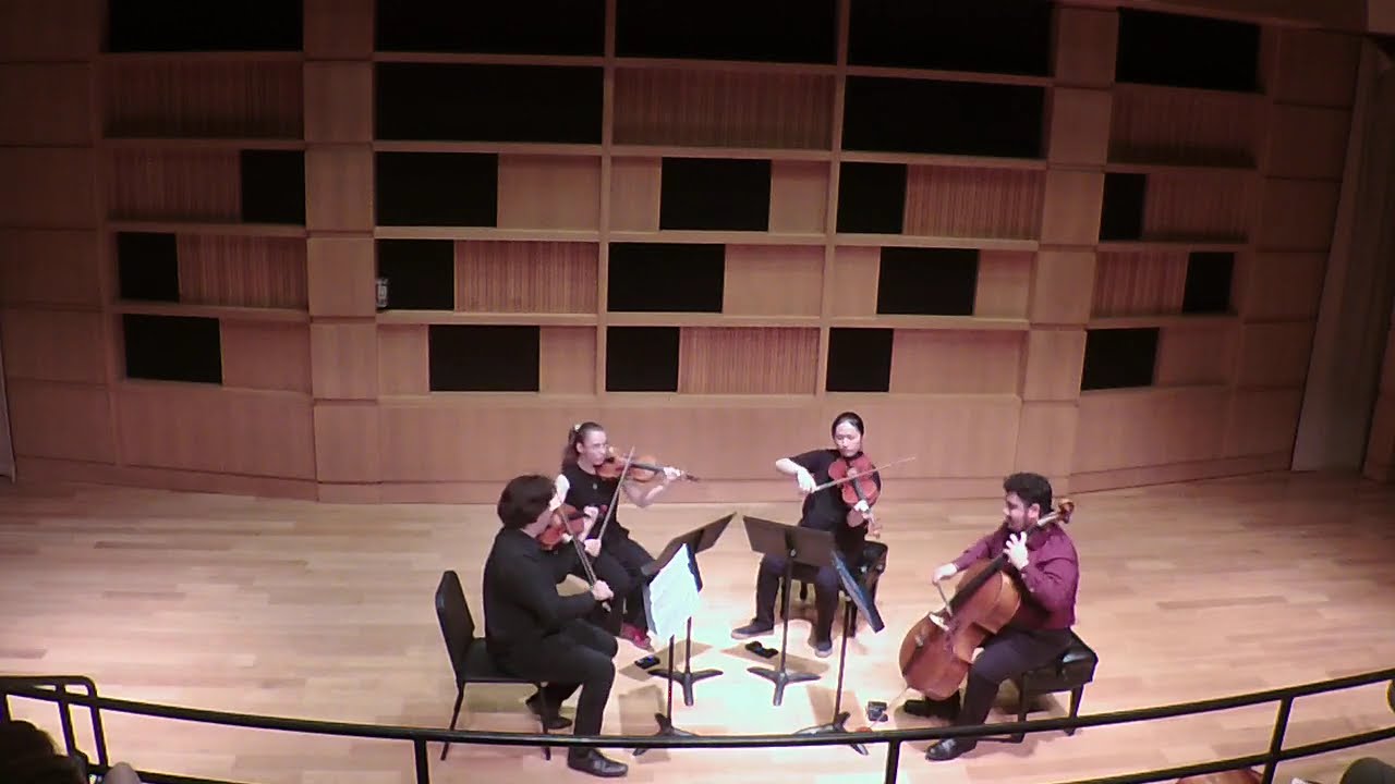Promotional video thumbnail 2 for The Sylphide String Quartet