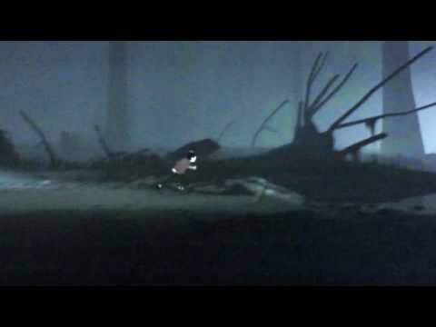 The Nerd Gang Plays Inside