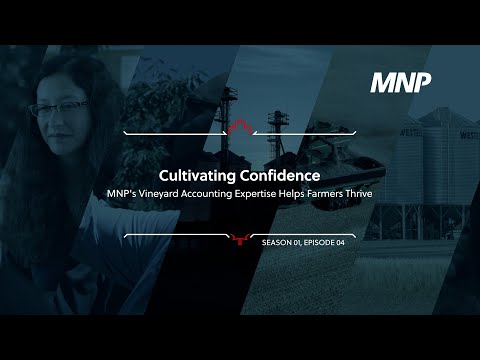 Cultivating Confidence: MNP's Vineyard Accounting Expertise Helps Farmers Thrive