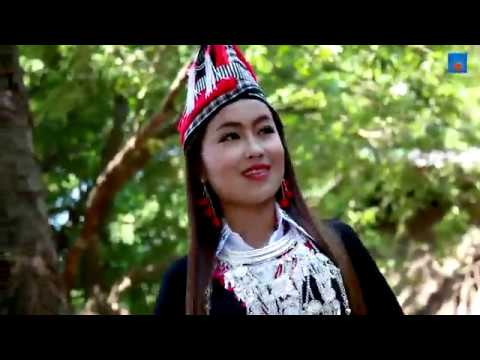 Hmoob Tsiab Peb Caug by Leekong Xiong & Dalee Chang