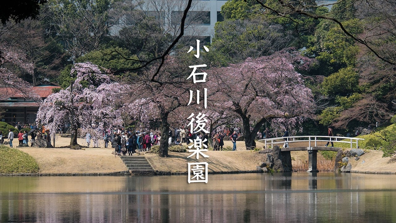 Koishikawa Korakuen Garden First Cherry Blossoms