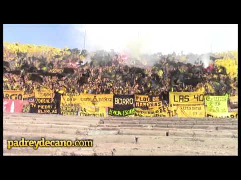 "Canciones Hinchada Peñarol - Clásico Apertura 2015" Barra: Barra Amsterdam &bull; Club: Peñarol