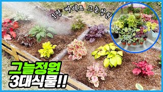 1평 그늘정원을 만드는 데 얼마가 들까? 파레트에 음지식물을 심었더니??