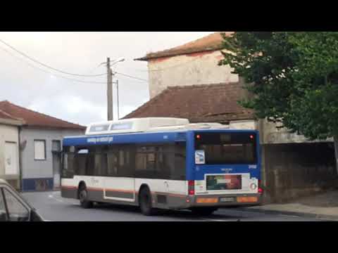 STCP linha 805 veiculo 3102