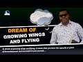 Dream of Growing Wings and Flying - Meaning and Interpretation
