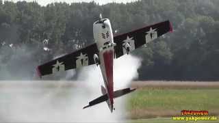 preview picture of video '3D Aerobatics - Dennis Paulo - Extreme Flight Extra 300 - 35. Schwarze Elster Treffen in Herzberg'