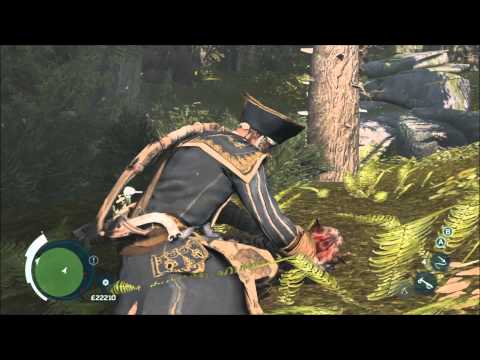 Hunting Society Missions - Feline Feet - Frontier - Chase and Kill the Bobcat - Assassin's Creed 3