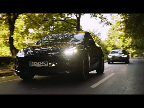 MisterGreen - Towards a Greener Future [The Exclusive Promo]