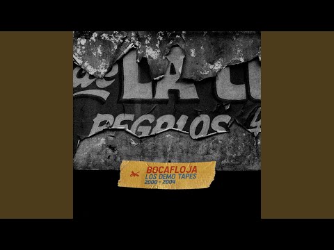 Sector Lúcido (2004)