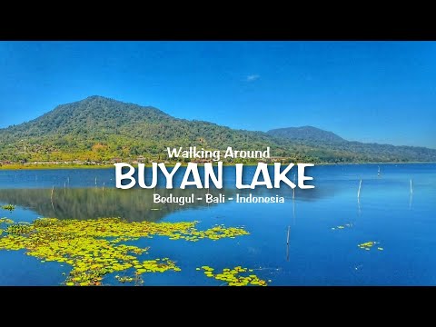 WALKING AROUND THE AWESOME BUYAN LAKE BEDUGUL BALI,INDONESIA | ONE OF THE BEST SPOT CAMPING GROUND