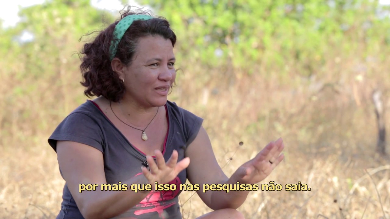 As sementes | trailer