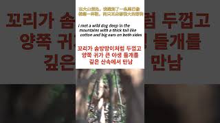 꼬리가 솜털처럼 두껍고 양쪽 귀때기가 큰 야생 들개를 깊은 산속에서 발견. Handsome wild dog with big ears#반려동물#반려견#야생들개 #재미있는개 #애완동물