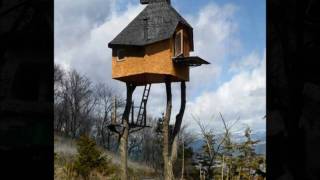 Worlds Strangest Houses