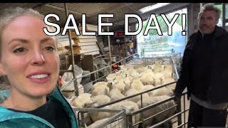 TIME TO SELL. SALE DAY - STORE LAMBS AT AUCTION