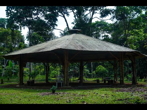 FAMILIA YAGE - Farid Marin - Musica Medicina