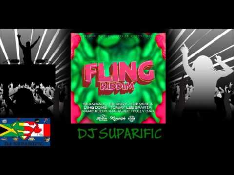 FLING RIDDIM MIX FT. TOMMY LEE SPARTA, DING DONG, SEAN PAUL & MORE {DJ SUPARIFIC}