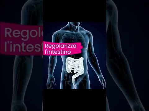 Teodosio Muscio-32