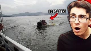 Giant Hippo Chases Boat.. *SCARY*