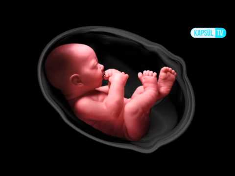 Gebeliğin 29. Haftası Anne ve Bebekte Ne Gibi Değişiklikler Olur?