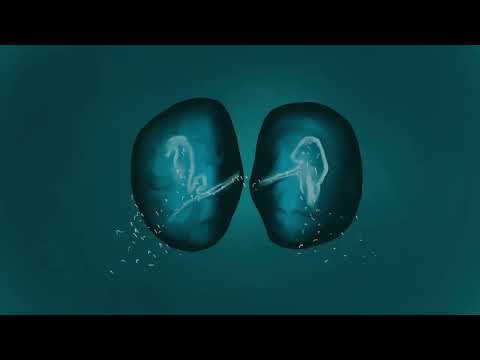 Elderbrook & Ahmed Spins - Waterfall (Extended) Official Visualiser